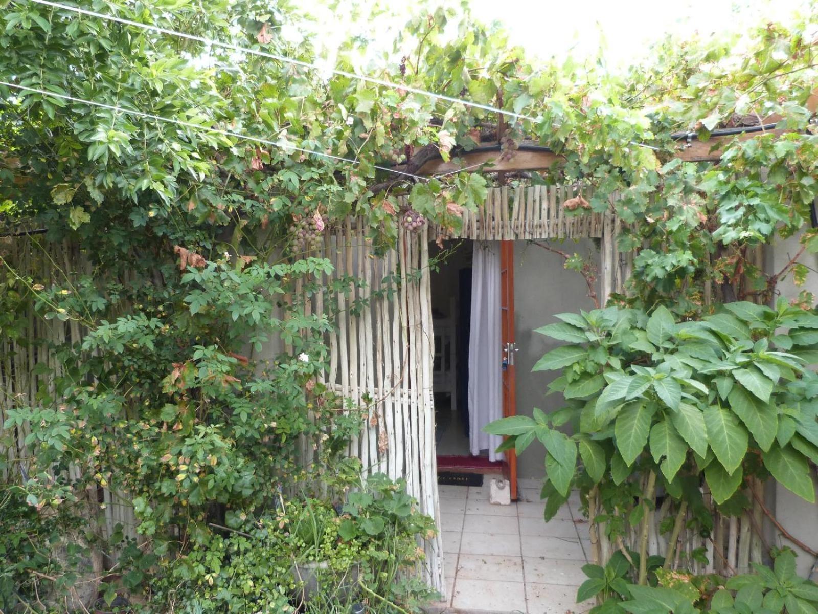 Hannah'S Haven Studio Deluxe - No Loadshedding Apartment Beaufort West Exterior foto